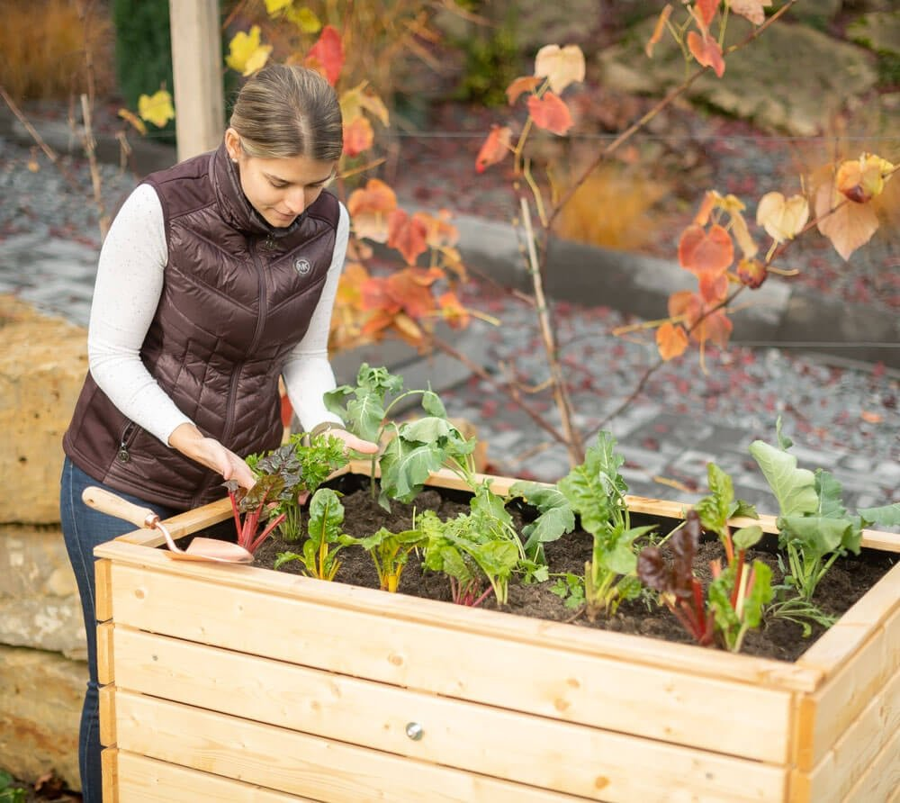 3cf4d5603b7866dccbe7fb65dca0e7a0