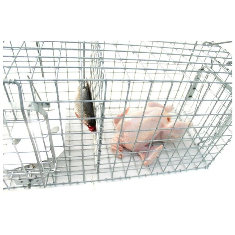 40574046e159151b2baacae665eb45a9