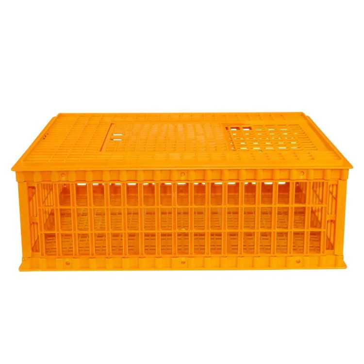 40d3a223924da3a62f65eda0f580c2f8