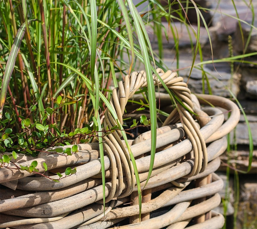 40e4208403d61e8952cdb93c89f42ad7