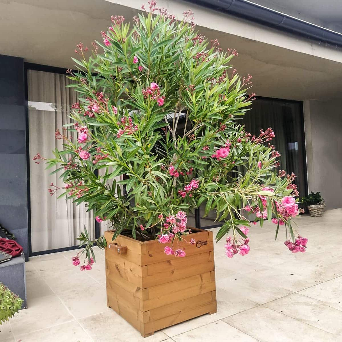 4194615cd69d61eb7750fad96be1ec3c