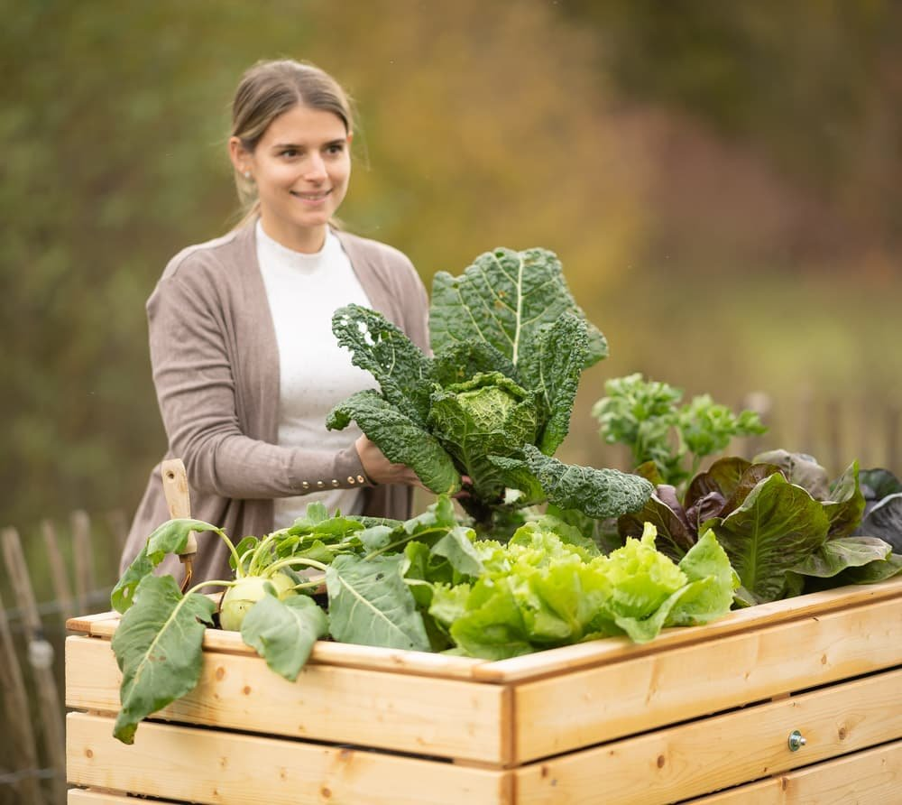 4262c312b9ef9251e86d66682868c5c4