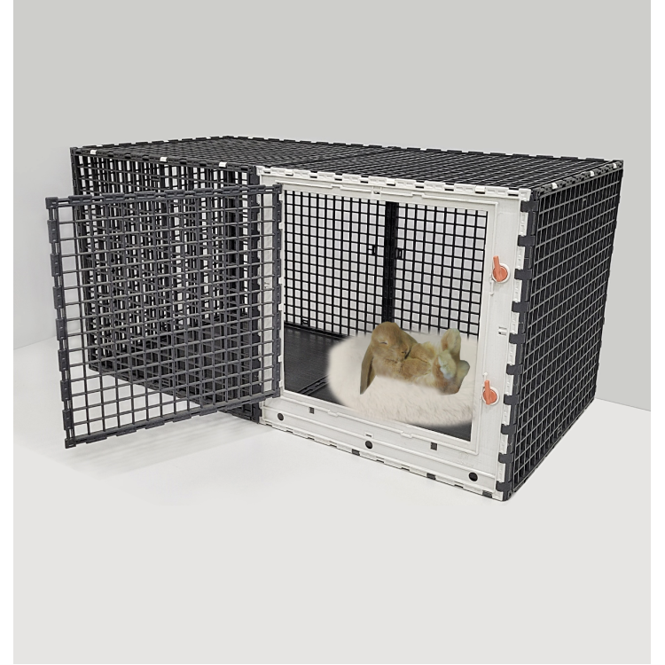 437d07f0b4a296fcc9c807cedc5b1b79