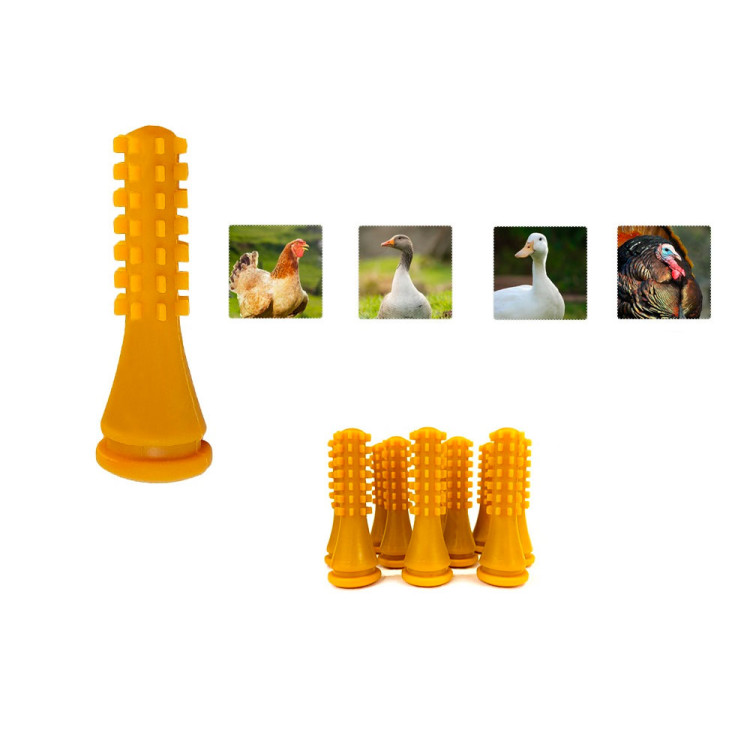 445b12ca6808af948094291986ed949a