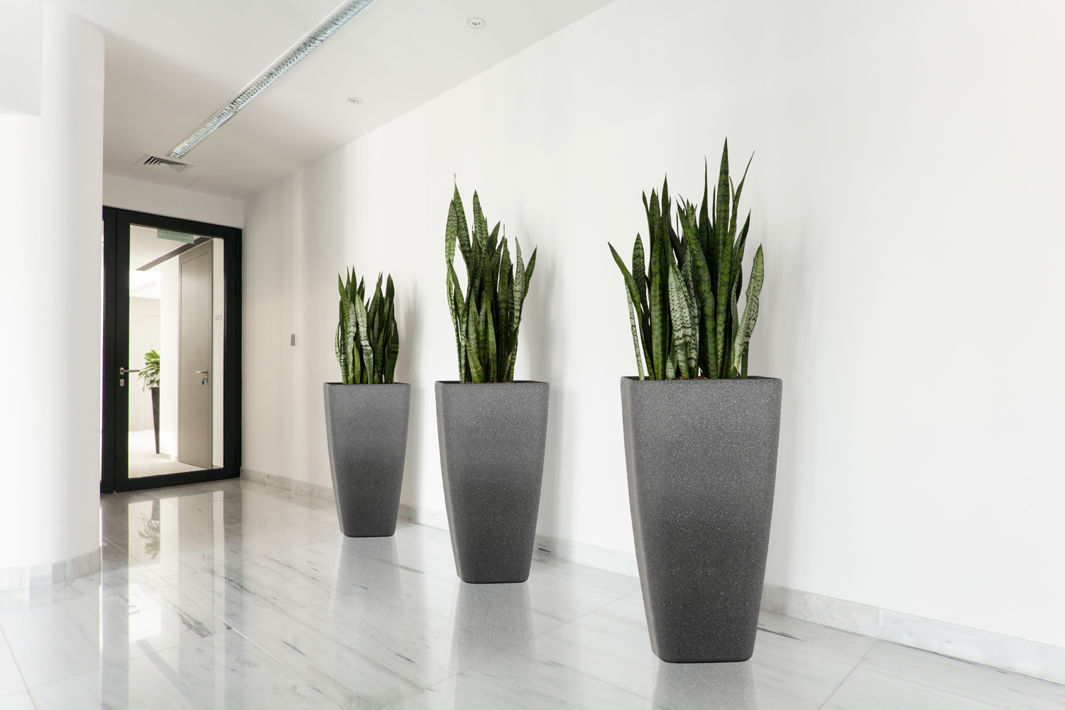 448b46fa794db2131601b63d1ee8dd9f.img