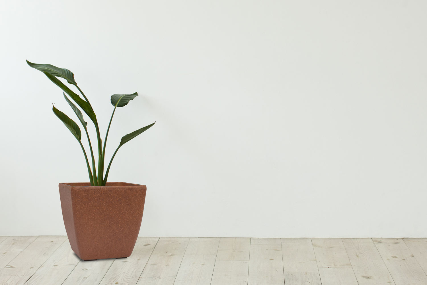 4513f9bfc8687942434a3419e3cee5db