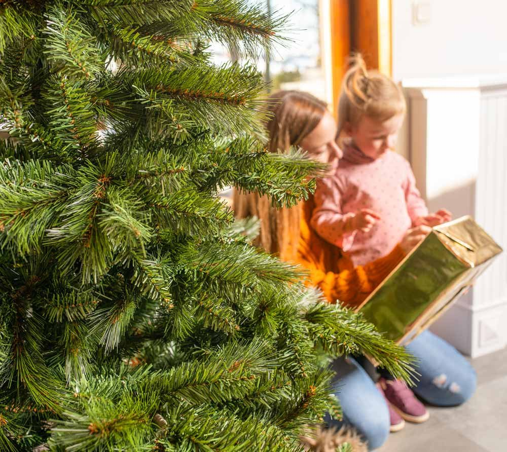 45dcf0424470311f8b420deb2d0b876c