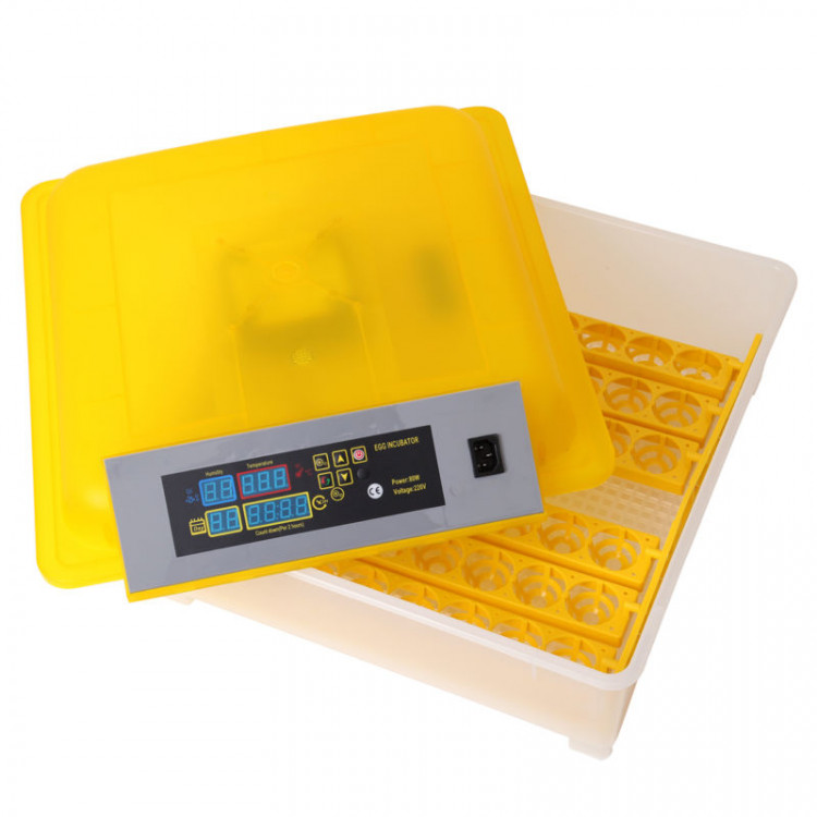 45e9c6e2da50a83eba2ff95f3e98733c