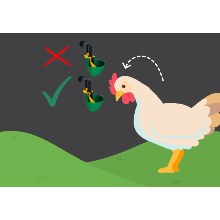 47529b9d22339feaad9eeb1271840ce7