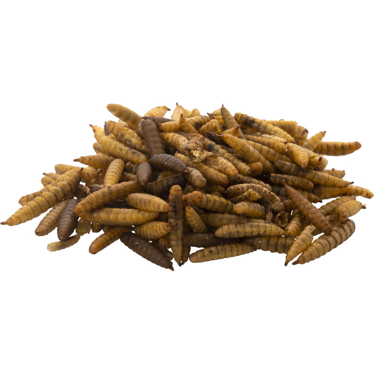 47e84e75ed4dc8ca3fadeaab8546bf5e