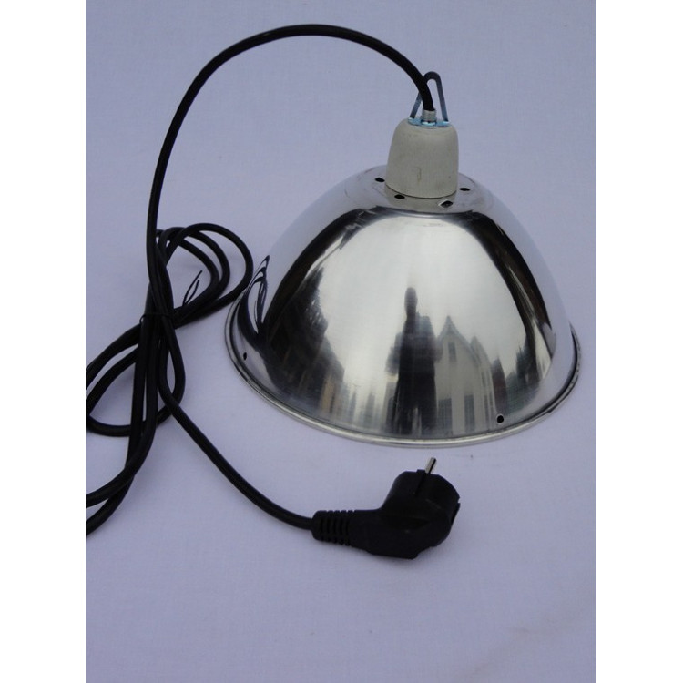 4903ead60435893a65d68981de793307