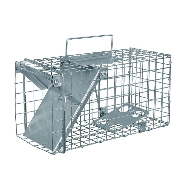 49c0bf85168a836a715099e381ba75ea