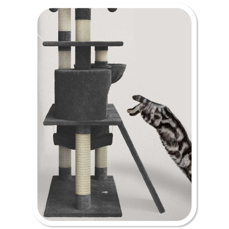 49e96ae329ff4084fecd02c86418d795