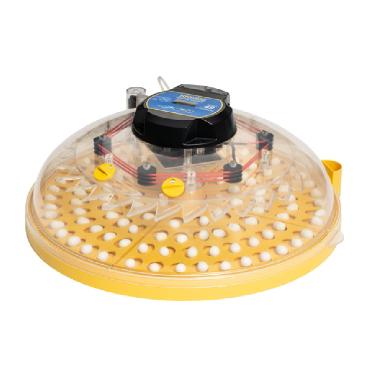 4a0ed7cf70e1525673993bc7e420d6e1