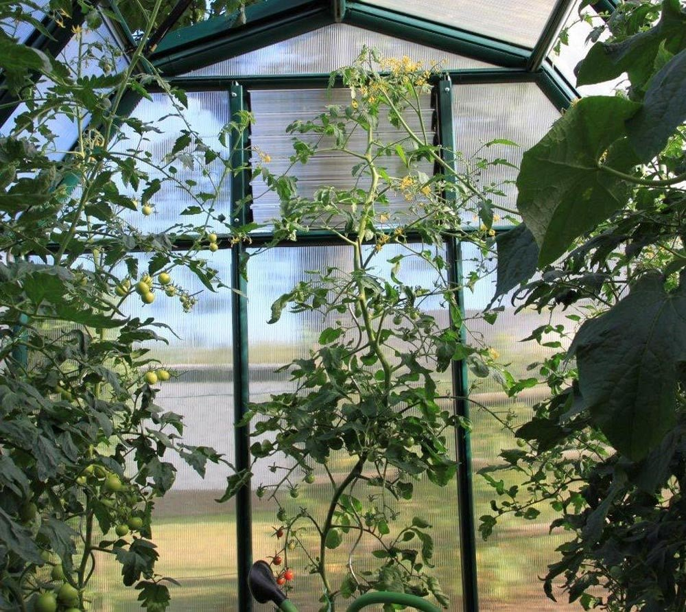 4a34d0aad2916d4e6ebaa033c0d89d1f