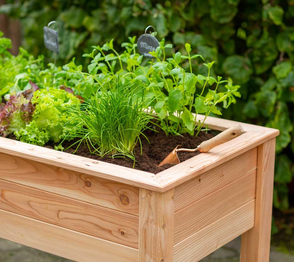 4ded63f297e01fb532941994f779e660