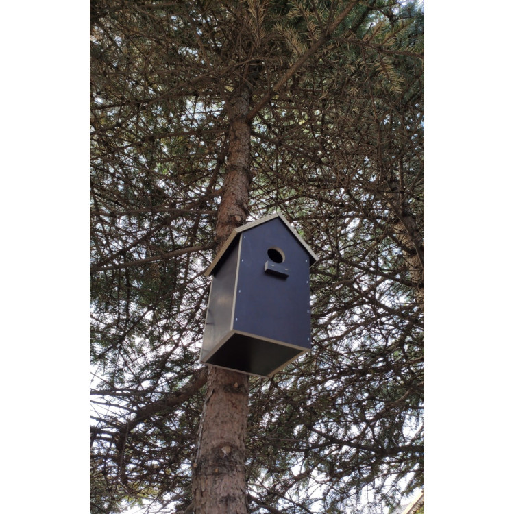 4ecc264ba0eb7e1a62255e2ad169e3a2