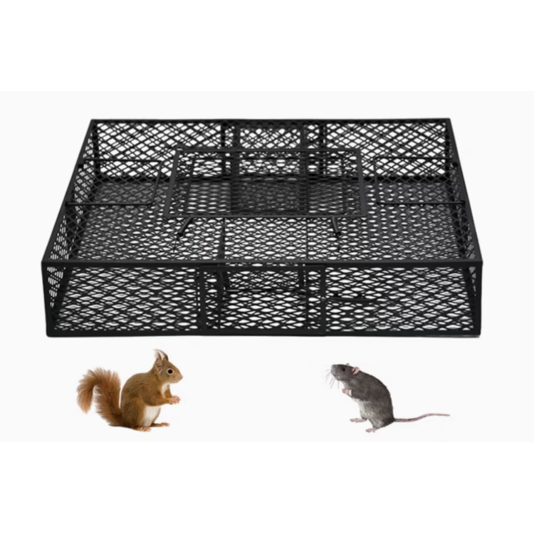 4ee2928bfb0ff828f6530d30e8ae393b