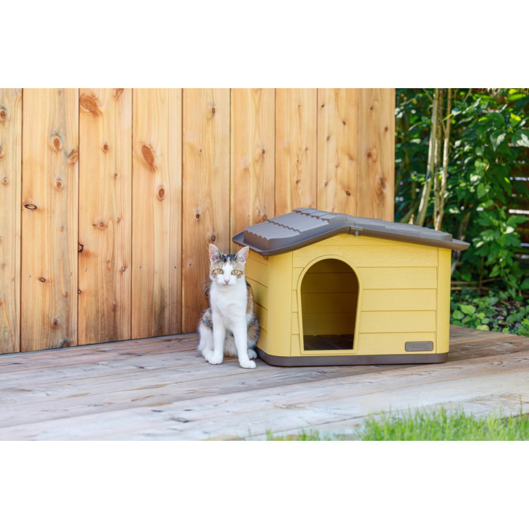 4f4f2af9553060fd63848a473238377f