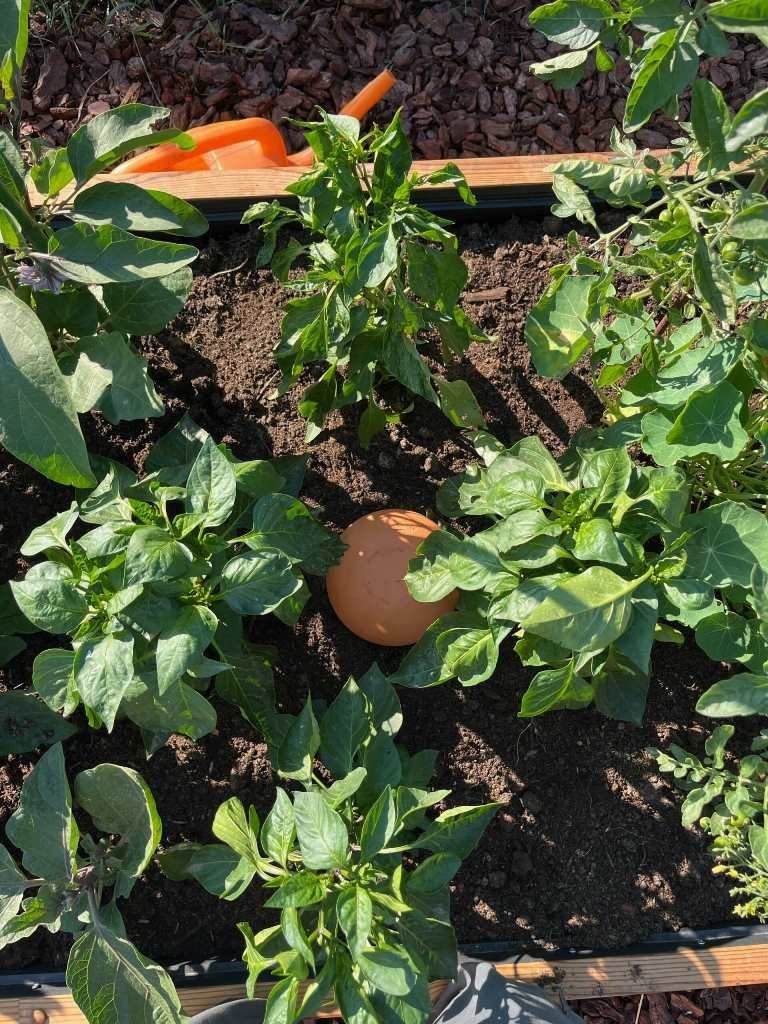 4f58d32ee035fcf2e5a2cb3736943cfb