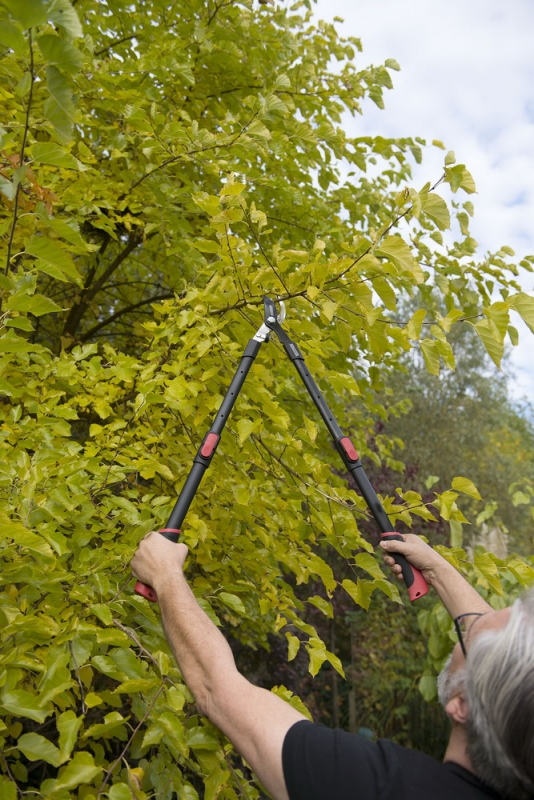 50837abdd3fe39ee41c95f266528790e.img