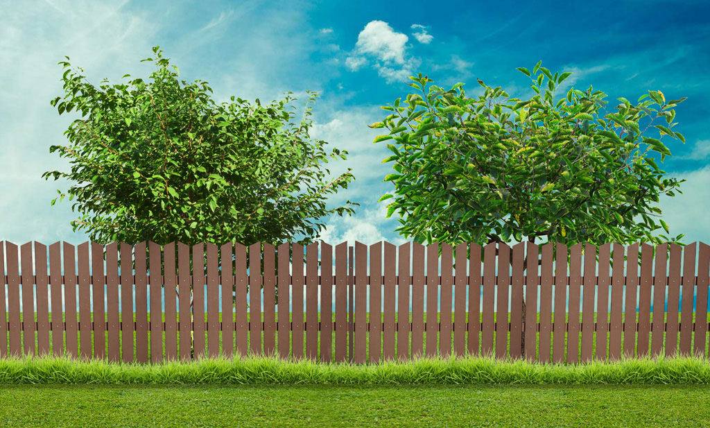 53bf20b0a1275c445983f89af9c8284e.img