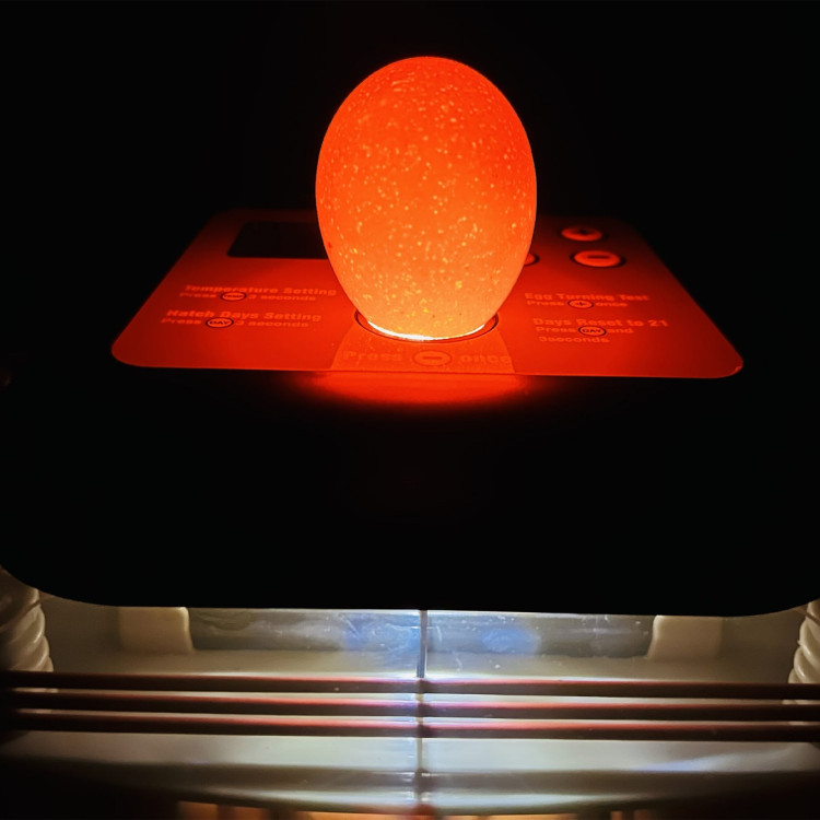 554c9bd85980311c5df2bd3851569aed