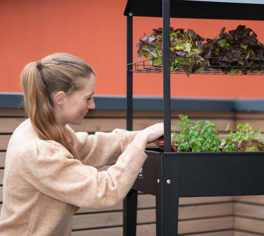 55d006b5b685e6531829e8deddc49312