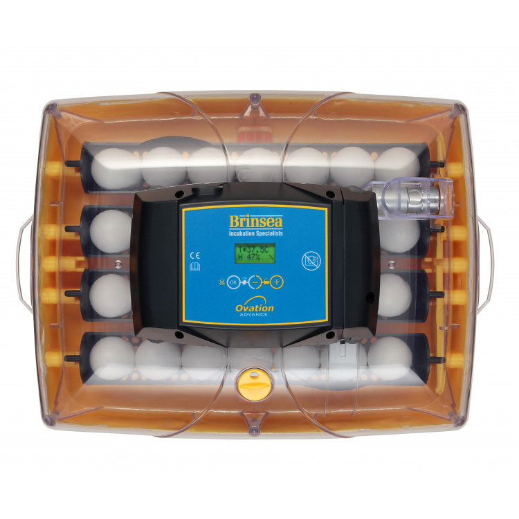 56c14d3566f93b78c68e7e523c901c1a