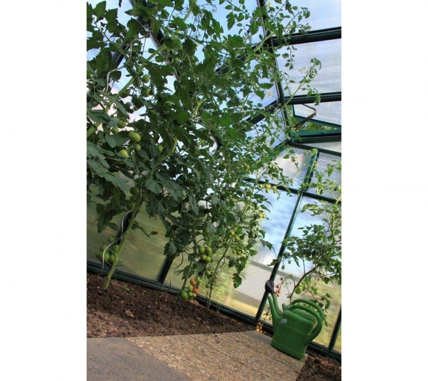 5717cbcf695f20da4b6d40fc3f894c64