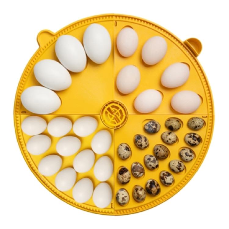 5b71da4cfbdcd773ab295d9d8f86341f