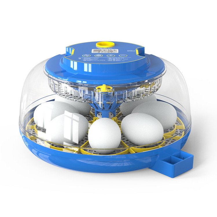 5ba90de77c998960979e97fc87e6c777