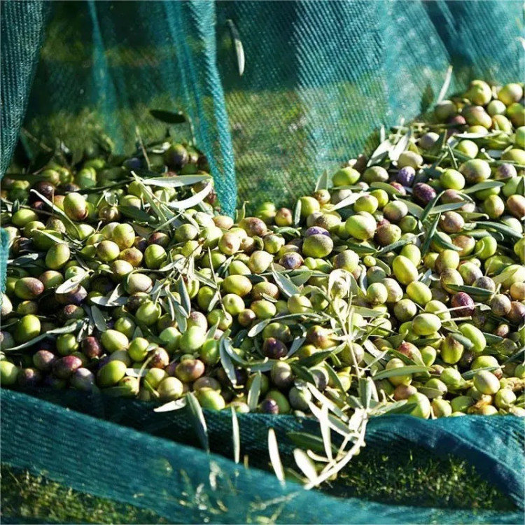 5cd1fa6e064984b173aa31035a15c30d