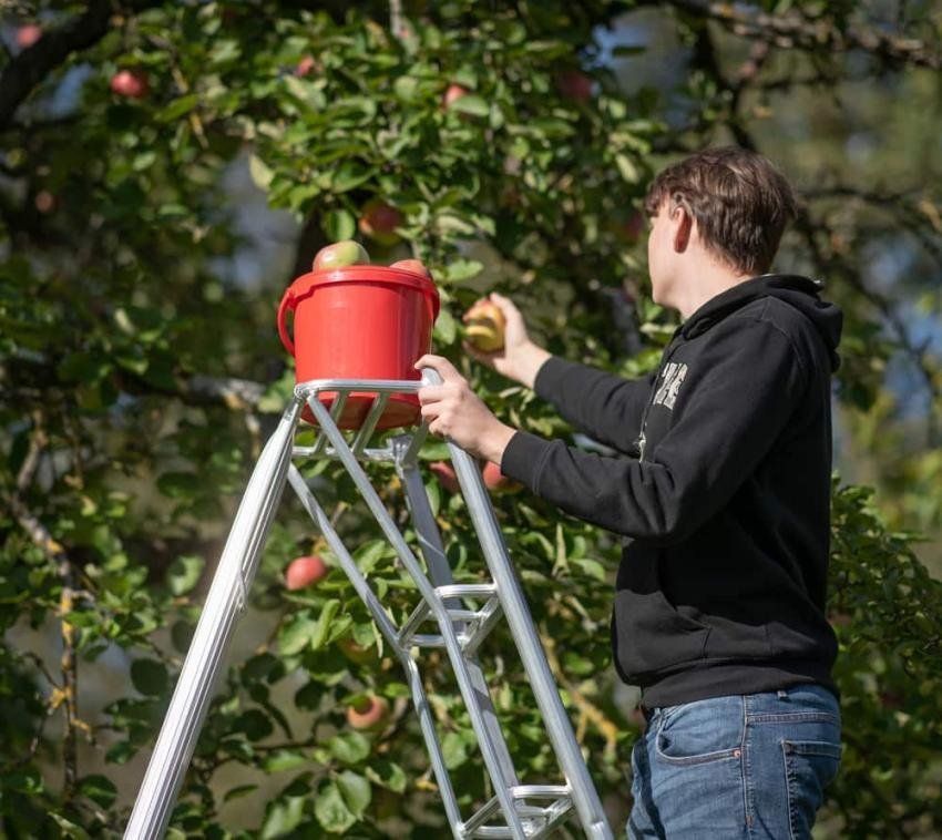 5fadddb2dba5aae842ad930b40704209