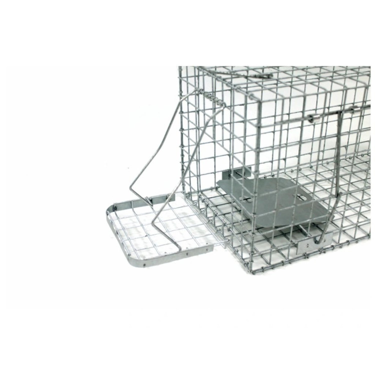 60dfda4d53b24a170d5a6ba15c8f3482