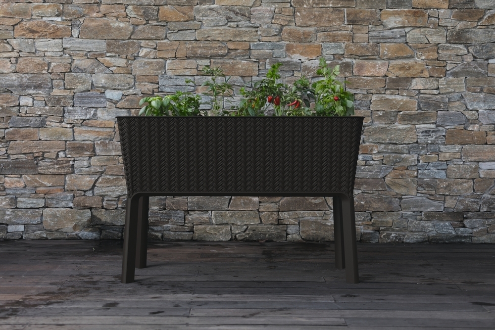 62dcdf4d3744f1f613694f7d2e4a2d24