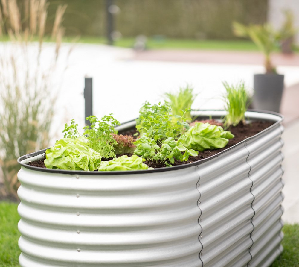 67a2f664e89ffaf69b90242822a049b4