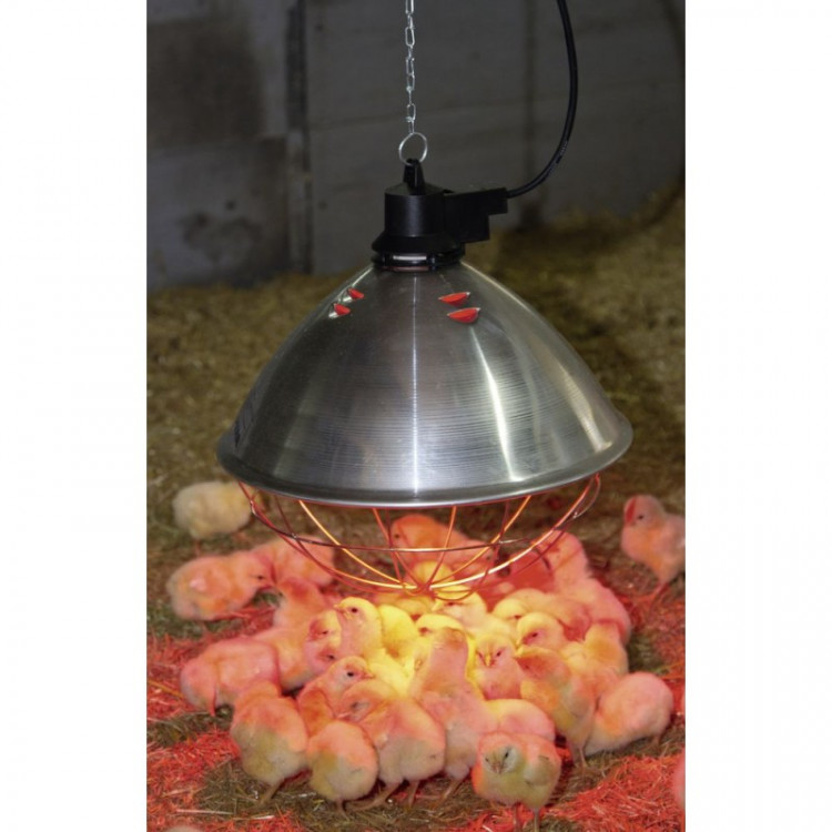 6884fe5d0cf4f1e4c0777c4f14f0f922