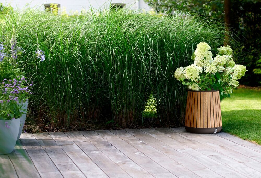 689546ab78c4dd35b7eecc2b1b6105d9