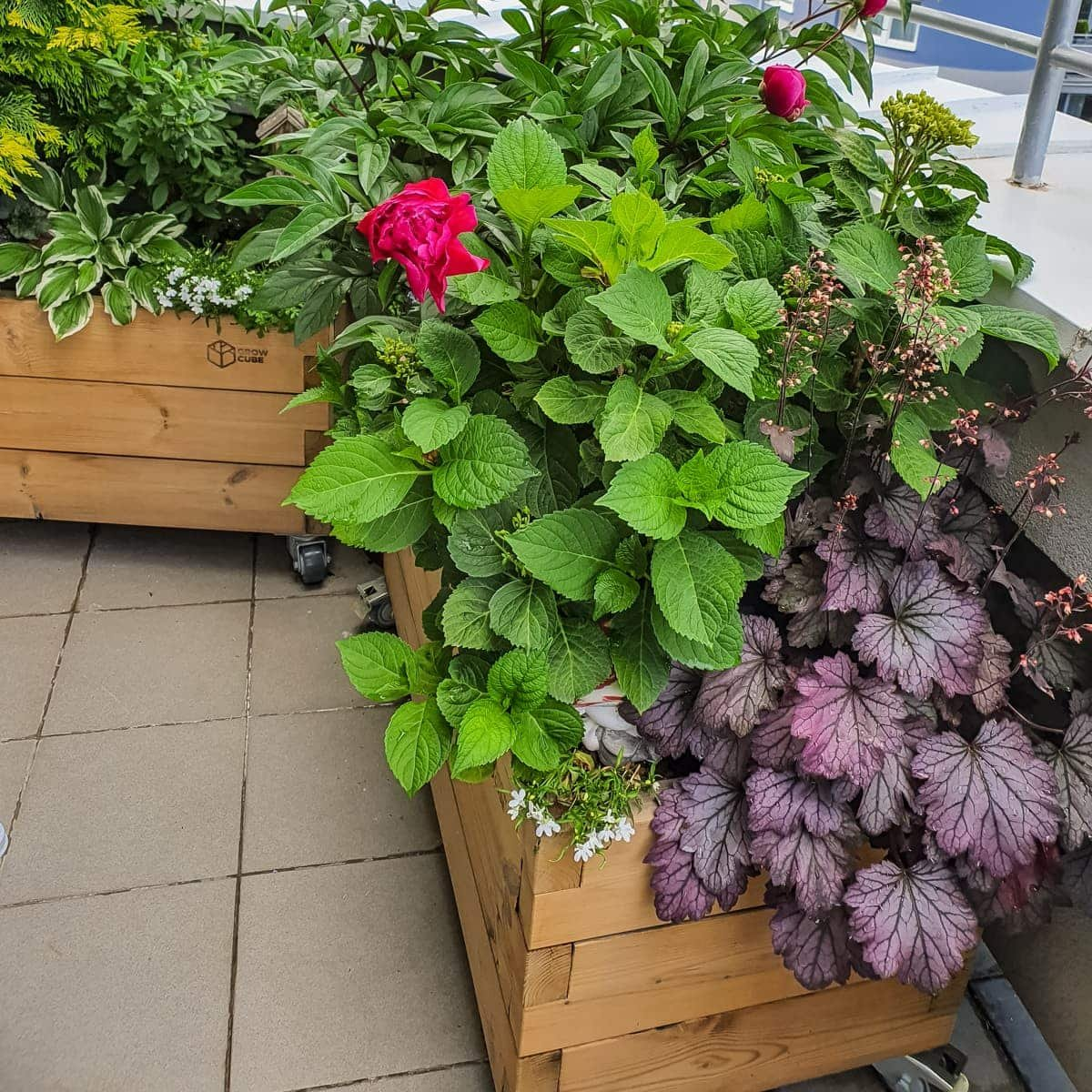 68a3dae6161b7731d54c90bb752414c0