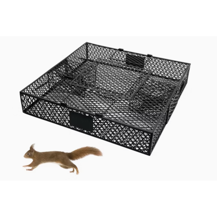 68f7dff14e6acd30d9fee534c964ba3e