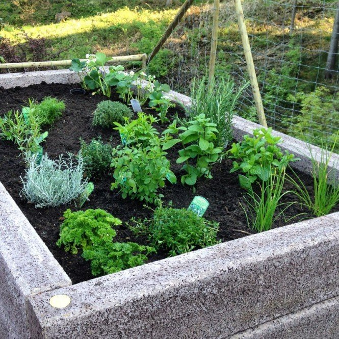 6c55407fbc6f5346a98ec544f55be7e0