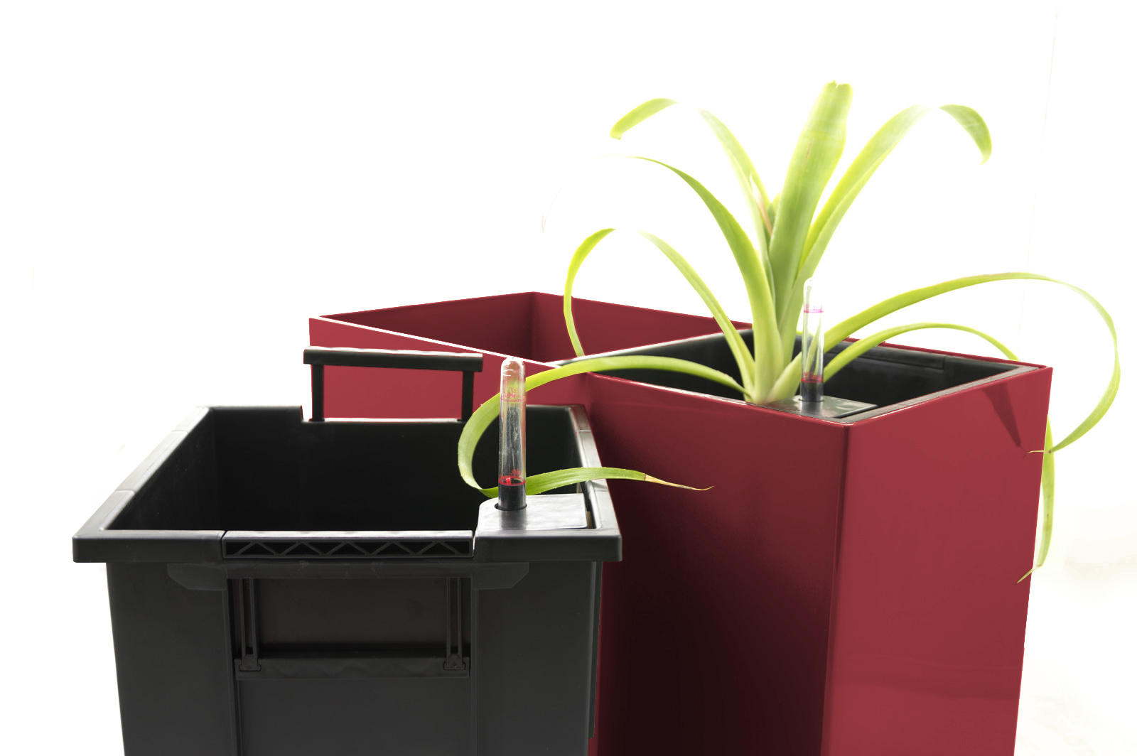 6ca6695f0a455789eee432c78f593370