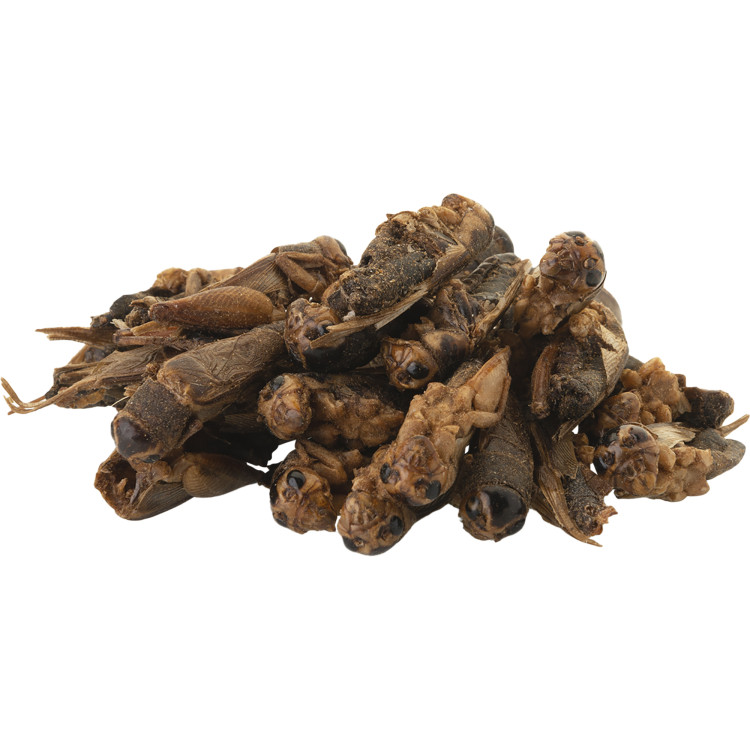 6fadd854cdcc2341ab04cd420f6d3e09