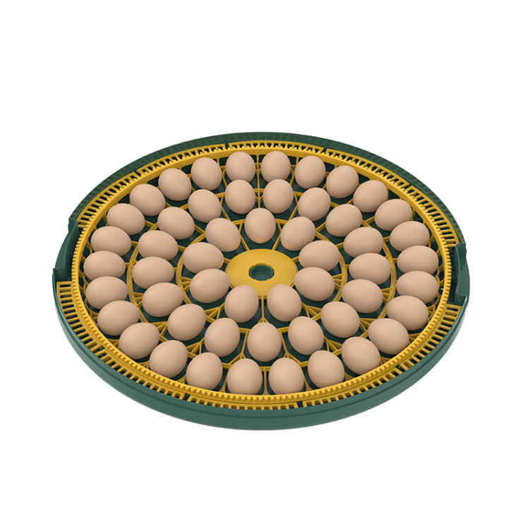 72c33c7f1e0e48e2e9896f6e848a006c