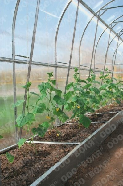 74ba366ff9a575aaa3fe2ff2a697ed40