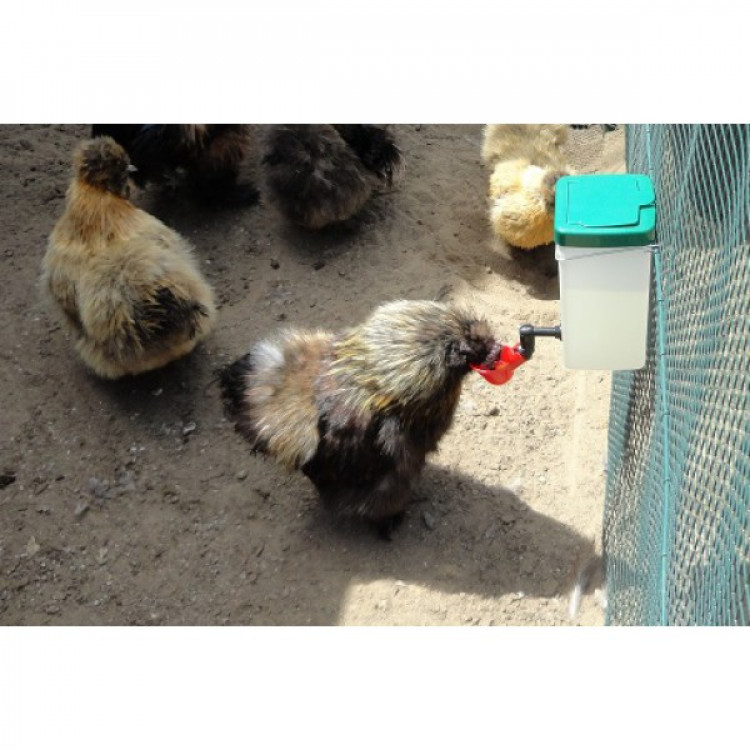 77c72492f34e1c6810347b9bc43ab562