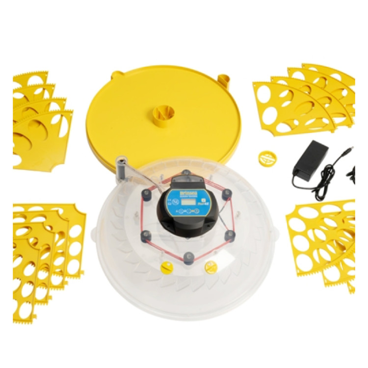 7893d45633b310422b20aef3d0fe8971