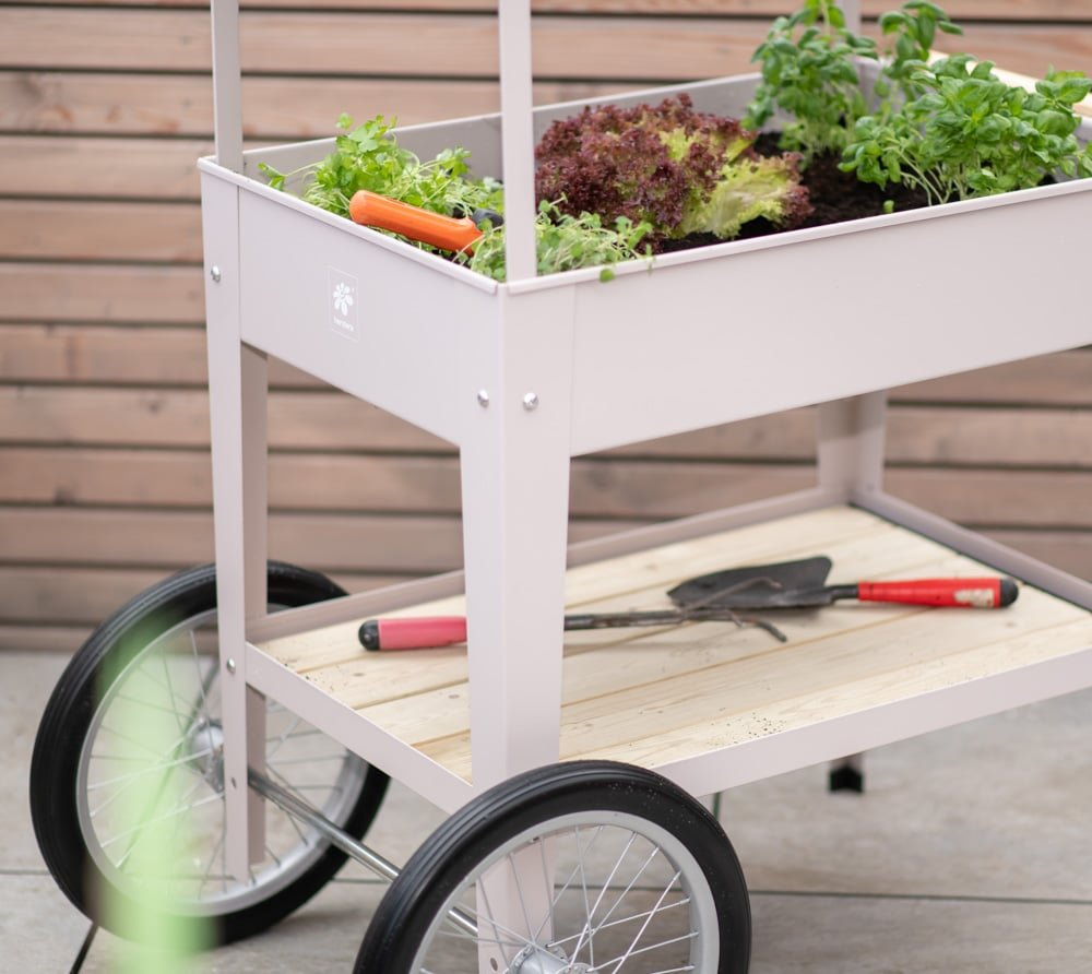 79376f89751d46610d54e2a41e83c3cb