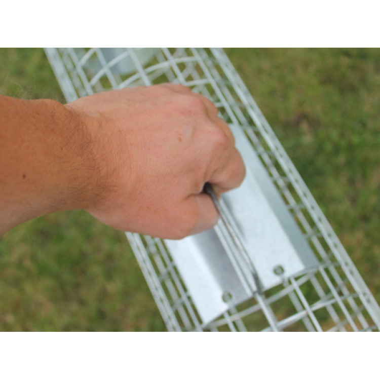 7ac986e032b4defdb1007c7ea824be8d